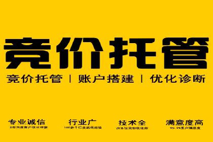 SEM竞价推广策略优化：从失败到成功的转变